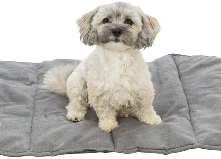 Trixie Reisedecke Leni – Reisedecke grau 80x60cm