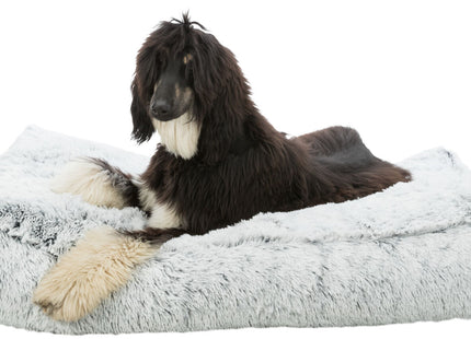 Trixie Kissen Harvey – eckig, weiss-schwarz, 80×60 cm