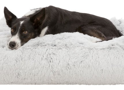 Trixie Kissen Harvey – eckig, weiss-schwarz, 80×60 cm