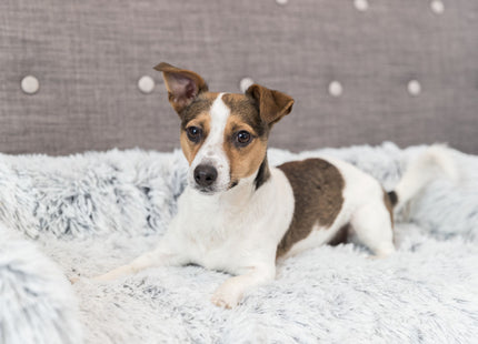 Trixie Polster-Schondecke Harvey - Hundedecke weiss-schwarz 80x130cm