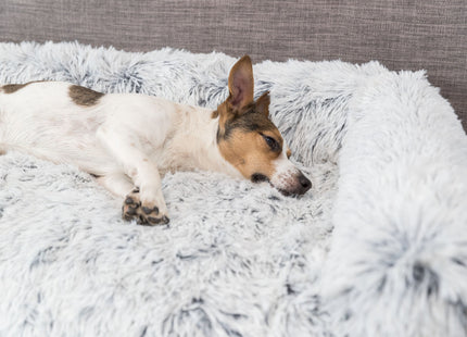 Trixie Polster-Schondecke Harvey - Hundedecke weiss-schwarz 80x130cm