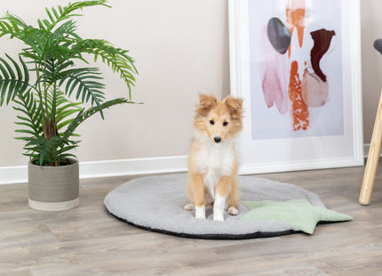 Trixie Junior Liegematte - Hundematte grau mint