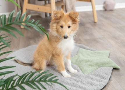 Trixie Junior Liegematte - Hundematte grau mint