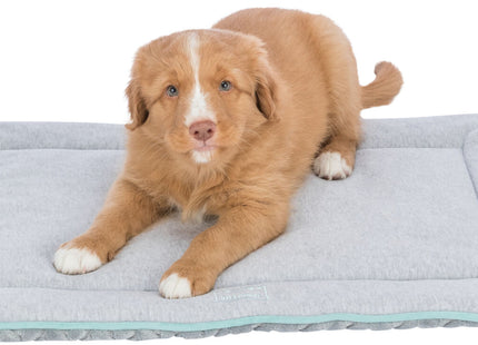 Trixie Junior Liegematte – eckig, hellgrau/mint