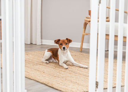 Trixie Hunde-Absperrgitter 4-teilig mit Tür