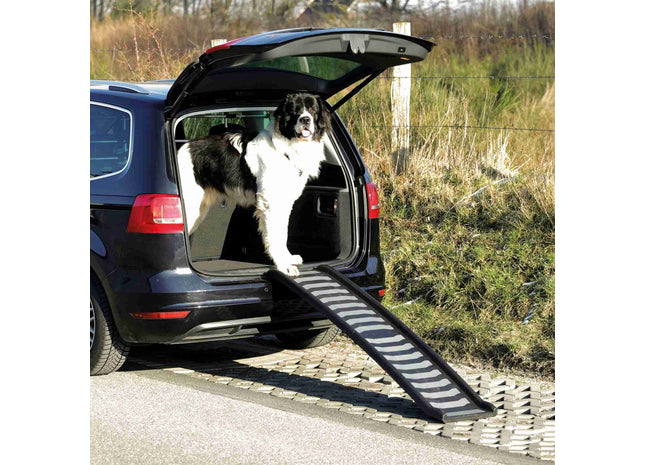 Trixie Klapp-Rampe – Kunststoff, 39×160 cm