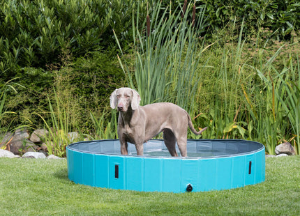 Trixie Hundepool - rund, blau, ø70×12cm