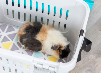 Trixie Midi-Capri Transportbox - 44 cm, türkis/silber