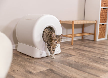 Trixie Smarte Katzentoilette - Kunststoff weiss