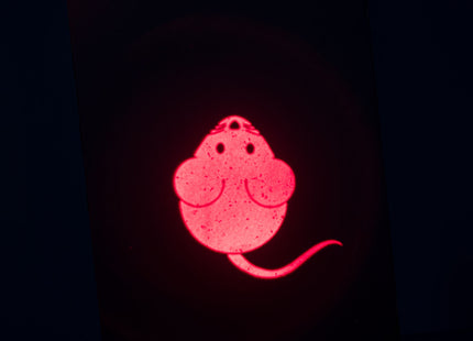 Trixie LED Pointer Catch the Light - Maus, USB, 8.5cm