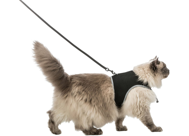 Trixie Softgeschirr mit Leine Katze XL schwarz