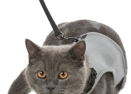 Trixie XCat Katzen-Garnitur – verstellbares Katzengeschirr