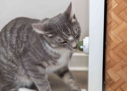 Trixie Katzenminze Ball mit Halterung - ø5cm, grün