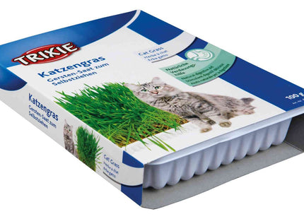 Trixie Katzengras-Schale ca. 100 g, hochwertiges Katzengras für die Gesundheit und das Wohlbefinden Ihrer Katze