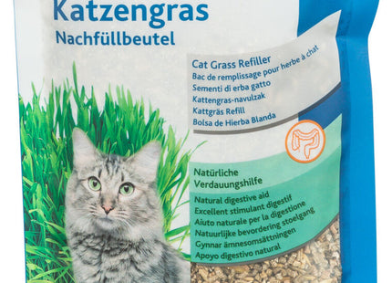 Trixie Katzengras-Nachfüllung 100 g - hochwertiges Katzengras für die Gesundheit Ihrer Katze