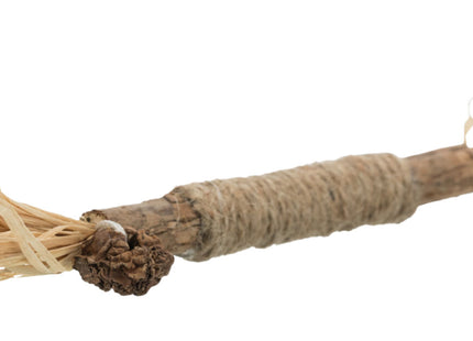 Trixie Matatabi-Stick - Katzenspielzeug, 24 cm