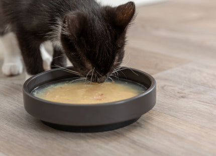 Trixie Salmon Soup - Katzensuppe Huhn und Lachs 80g