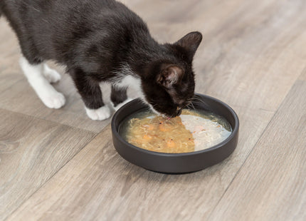 Trixie Salmon Soup - Katzensuppe Huhn und Lachs 80g