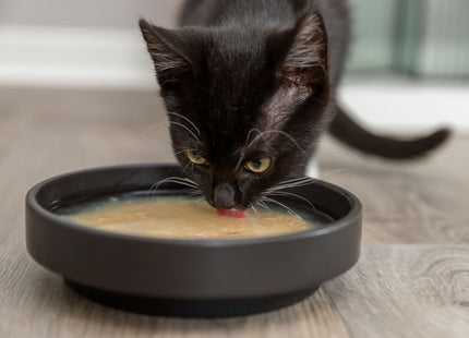 Trixie Salmon Soup - Katzensuppe Huhn und Lachs 80g