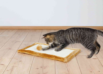 Hochwertige Kratzmatte aus Sisalteppich und Plüsch in Naturbraun