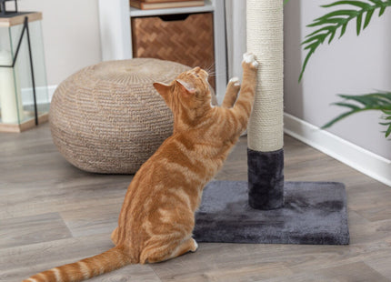 Trixie Kratzstamm Batres – 62 cm, platingrau