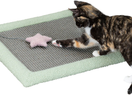 Trixie Junior Kratzmatte - grau mint 47x47cm