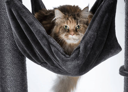 Trixie Kratzbaum XXL Amadeus - Katzenkratzbaum grau 163cm