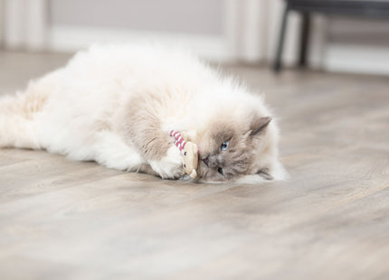 Trixie Bär – Stoffspielzeug mit Katzenminze 12cm