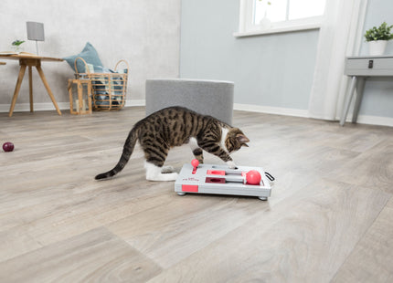 Trixie Cat Activity Brainmover - Intelligenzspielzeug für Katzen zur geistigen Herausforderung und Förderung der Geschicklichkeit
