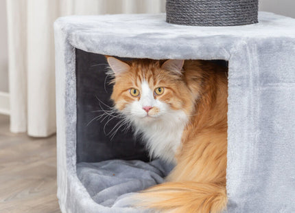 Trixie Kratzbaum XXL Ava II – Grau, 112 cm hoch