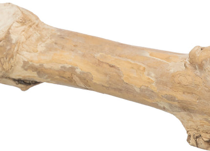 Trixie Sitzstange - Kaffeeholz, 20cm, Schraubbefestigung