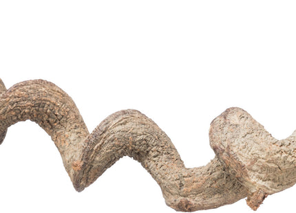 Trixie Sitzstange – Drachenholz, 36cm, natur