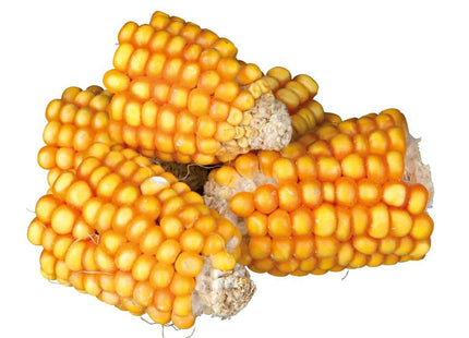 Trixie Maiskolbenstücke - Nagersnack, 300g gelb