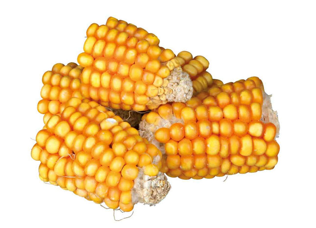 Trixie Maiskolbenstücke - Nagersnack, 300g gelb