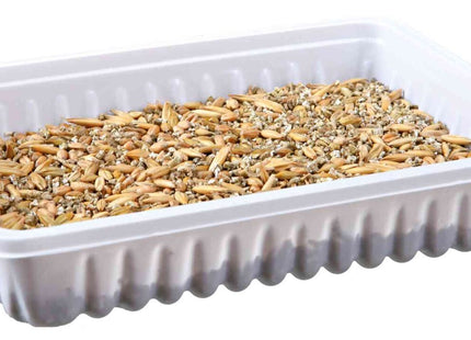 Trixie Nagergras in Schale, 100 g - hochwertiges Futter für Nager und Kleintiere