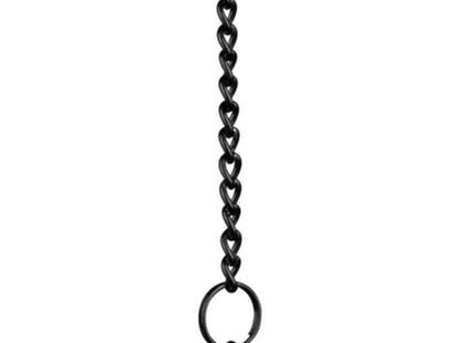 Trixie Food-Ball für Kleintiere - interaktives Spielzeug für Haustiere, um Futter zu erhalten