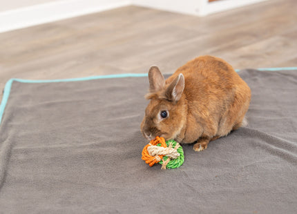 Trixie Spielzeug - Maisblätter, Naturmaterial, ø6×15cm