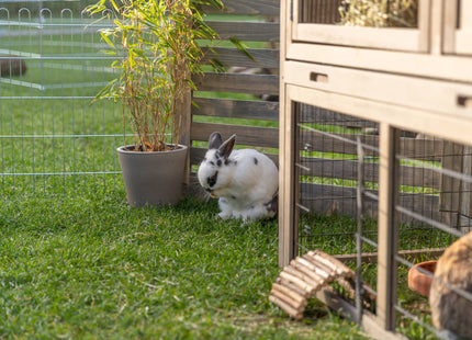 Trixie Natura Kleintierstall – Holz, mit Freilaufgehege
