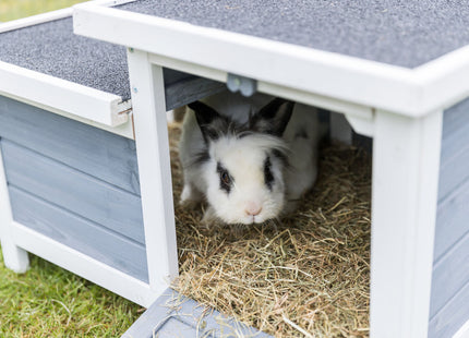 Trixie Natura Kleintierhaus – Kleintierhaus weiss/grau