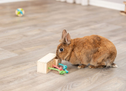 Trixie Snack Cube - Holzspielzeug 16x6x7cm