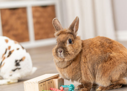 Trixie Snack Cube - Holzspielzeug 16x6x7cm