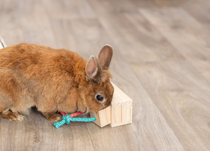 Trixie Snack Cube - Holzspielzeug 16x6x7cm