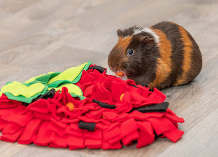 Trixie Schnüffelteppich Erdbeere – rot, 33×40 cm