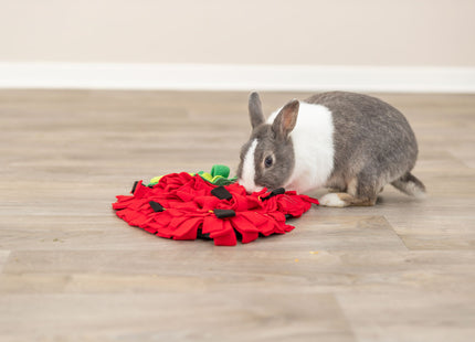 Trixie Schnüffelteppich Erdbeere – rot, 33×40 cm