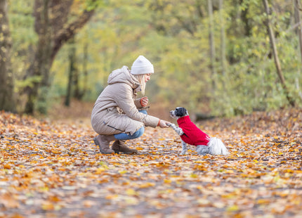Trixie Pullover Norwood - Hundepullover rot XXS