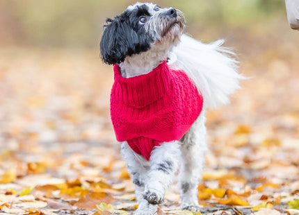 Trixie Pullover Norwood - Hundepullover rot XXS