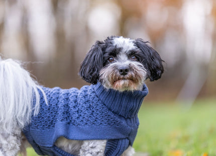Trixie Pullover Norwood - Hundepullover blau XS
