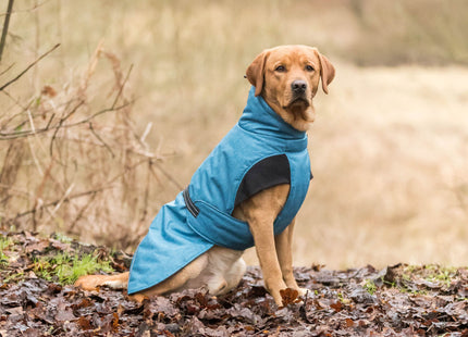 Trixie Wintermantel Riom - Blauer Hundemantel XS