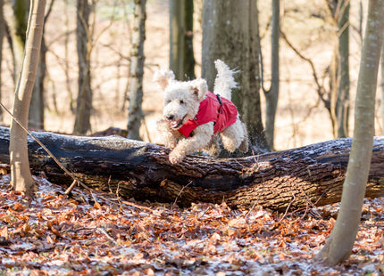 Trixie Regenmantel Vimy XS, rot, wasserdicht