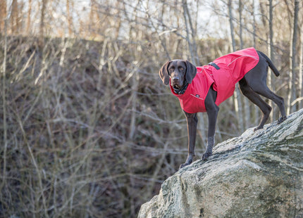 Trixie Regenmantel Vimy XS, rot, wasserdicht